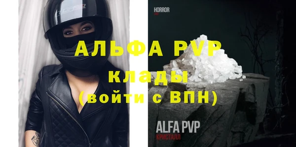 прущие грибы Бронницы