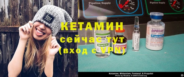 индика Елабуга