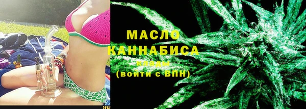 стафф Ельня