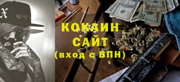 прущие грибы Бронницы
