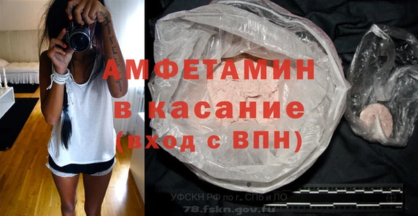 прущие грибы Бронницы