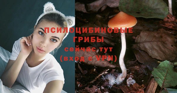 сатива Бугульма