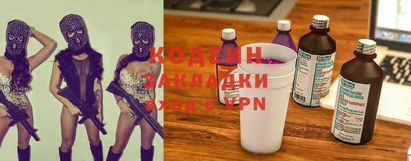 прущие грибы Бронницы